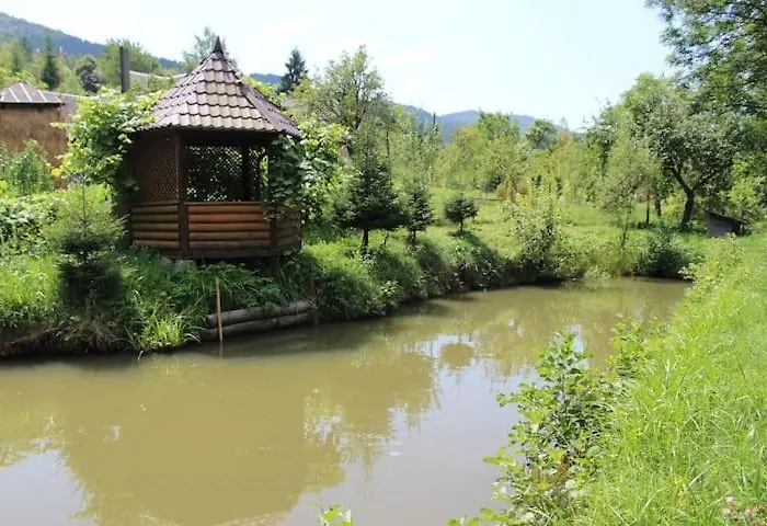 Zaviy Daire